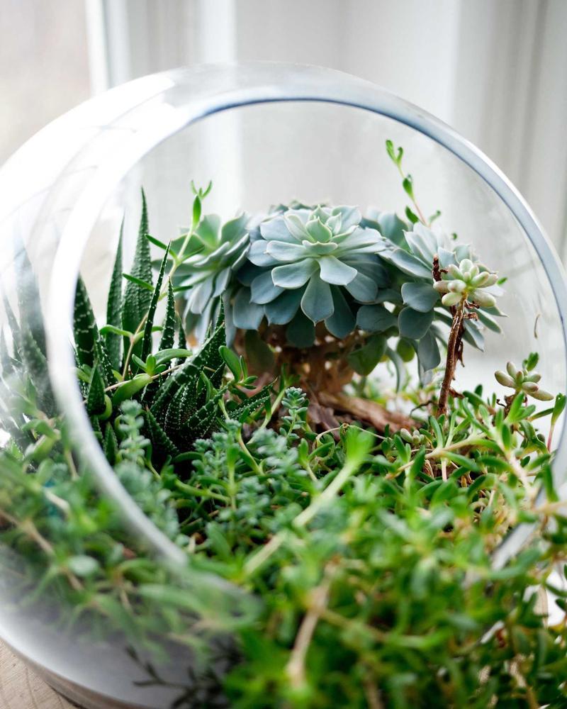 Mindful Mornings: A Calm Start Every Day